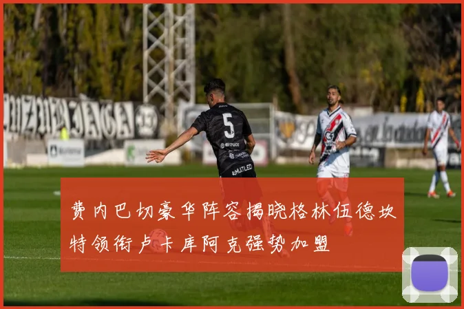 费内巴切豪华阵容揭晓格林伍德坎特领衔卢卡库阿克强势加盟